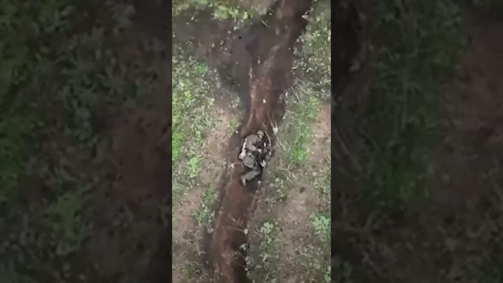 Unveiling Ukraine's drone war : Witness precision strikes & evolving tactics. Click to explore the battlefield!