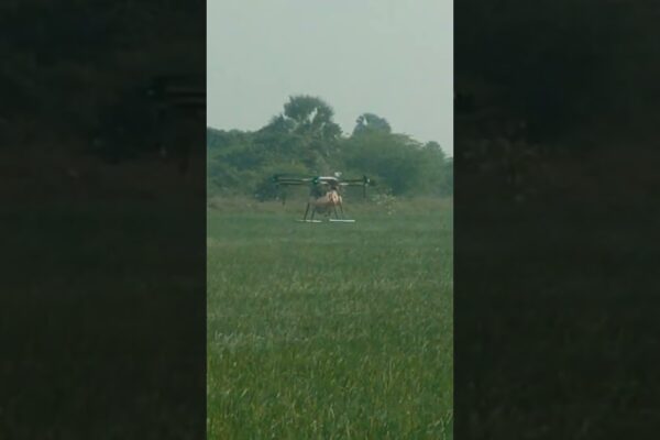 Pilot's view: Drone crop spraying is taking flight!  Witness the revolution in farming. Click to see the future!