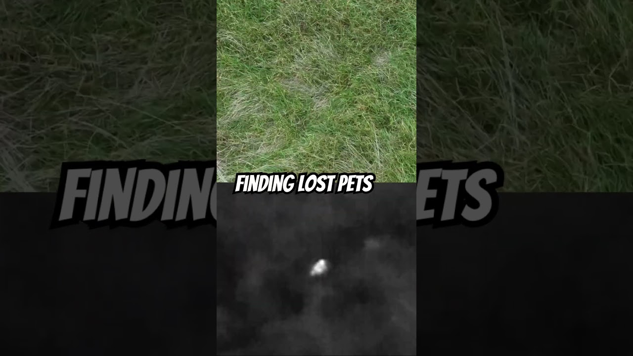 Drones are now pet rescuers!  See heartwarming stories of lost dogs & puppies found with thermal imaging drones. Learn how everyday drone pilots are making a difference & becoming heroes.  Click to learn more!