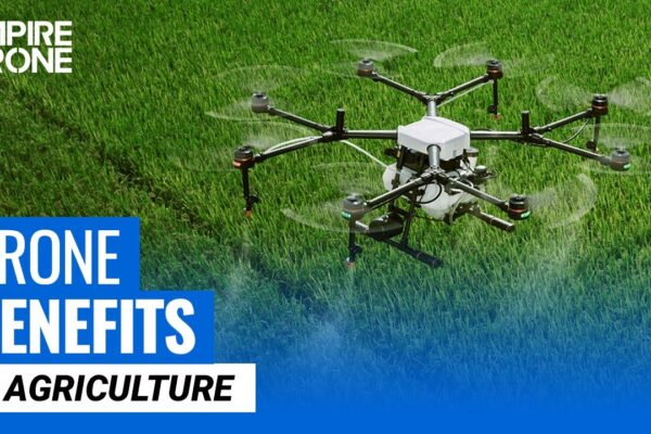 Revolutionize ranching!  Explore how drones & AI are transforming livestock management. Automated counts, health monitoring & more! Click to learn.