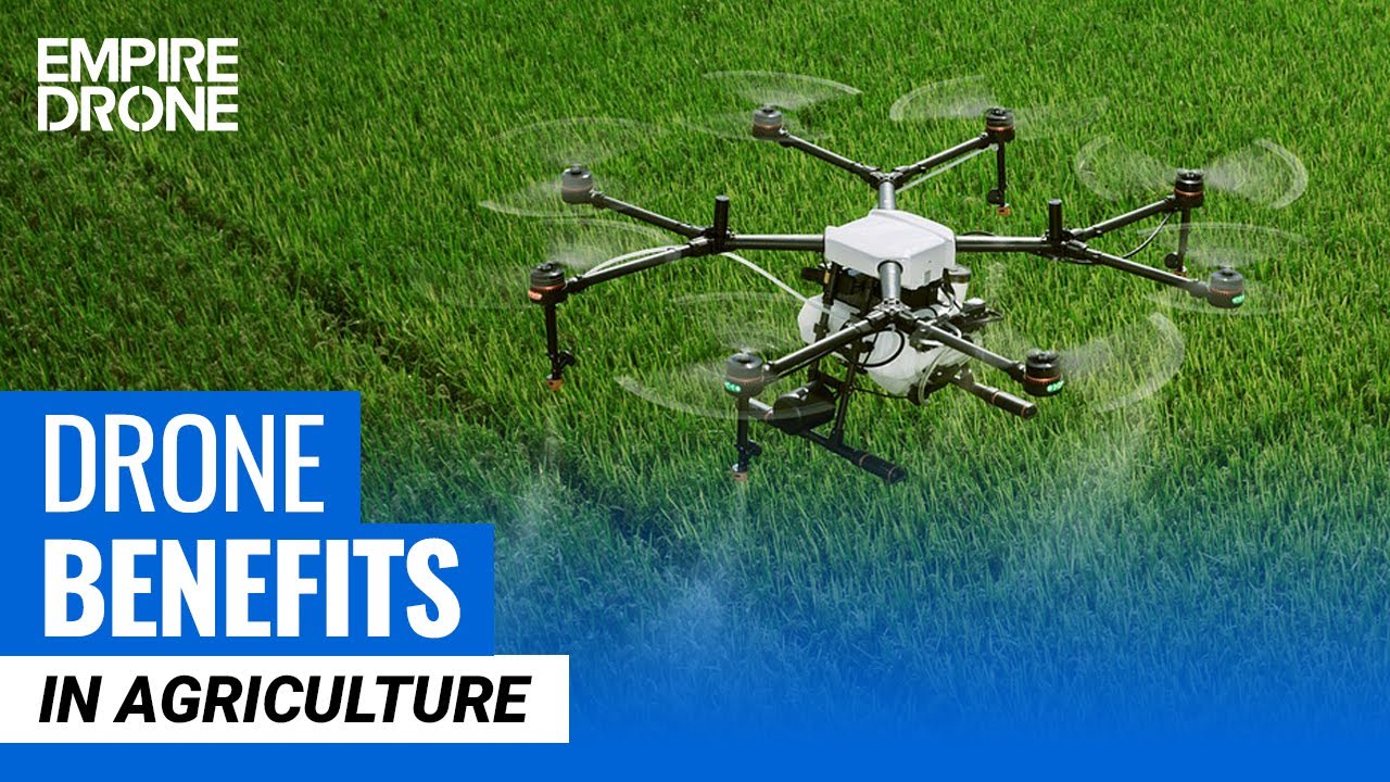 Revolutionize ranching!  Explore how drones & AI are transforming livestock management. Automated counts, health monitoring & more! Click to learn.