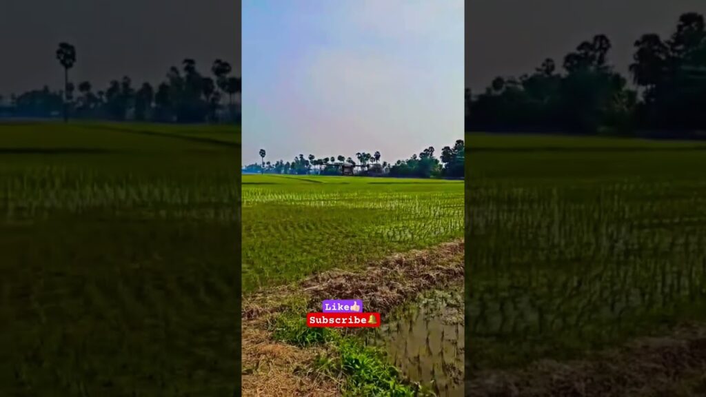 Revolutionize farming with the Hyper 15ltr drone!  Explore its precision spraying, cost savings, and how it's shaping agri-tech's future. Click to learn more!