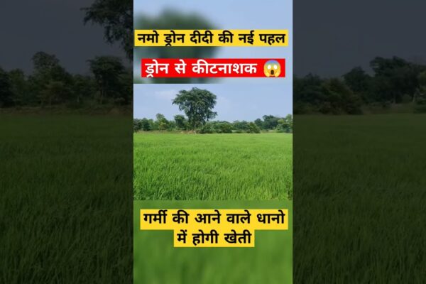 Witness the drone revolution transforming Indian agriculture!   See how "Drone Didis" are boosting efficiency & yields while promoting sustainable farming. Click to learn more.