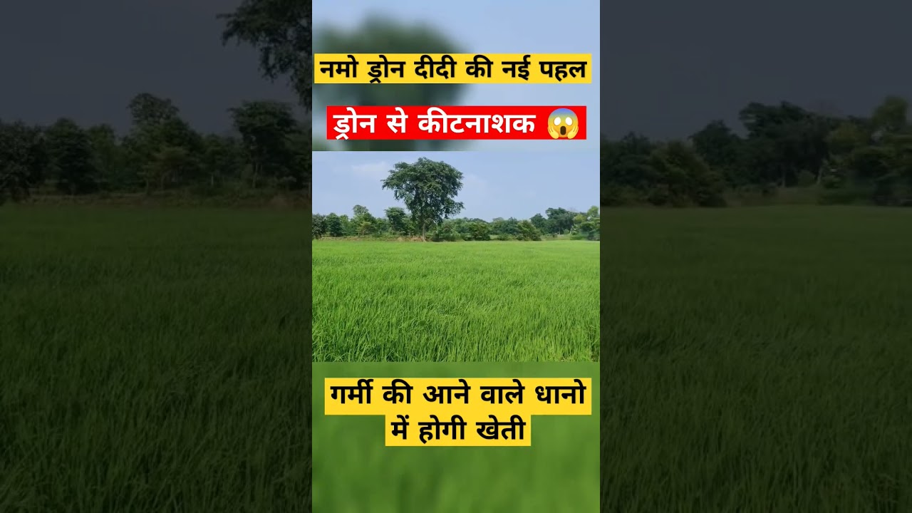 Witness the drone revolution transforming Indian agriculture!   See how "Drone Didis" are boosting efficiency & yields while promoting sustainable farming. Click to learn more.