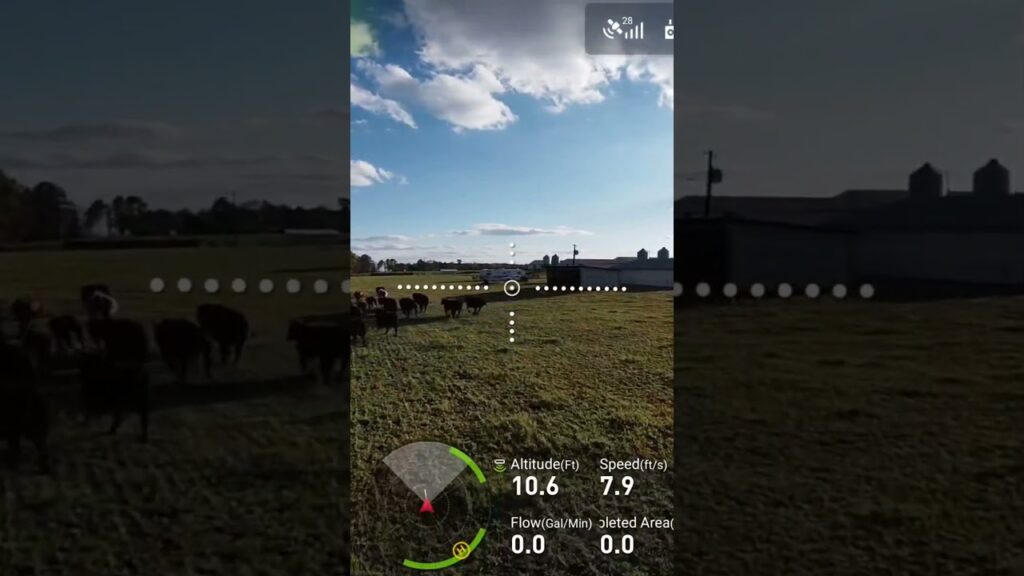 Drones moving cattle?   Discover how ranchers are using drones for efficient herding & finding lost cows! Click to see the revolution.