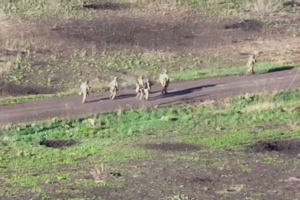 Ukraine's drone war : See battlefield innovation firsthand!  Robot dogs & close calls. Click to witness the future of conflict.