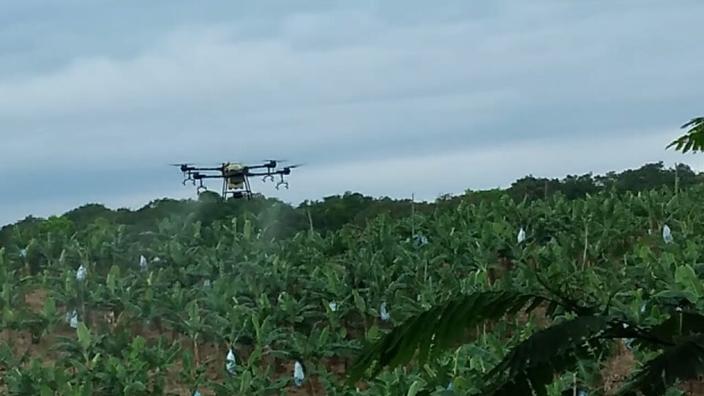 Drones picking bananas?!  Witness the revolution!  This tech is bananas!  Click to see the future of farming.