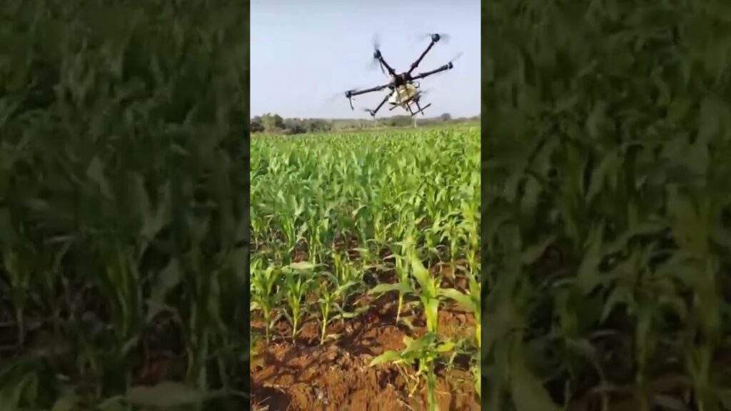 Drones  transform farming! Precision spraying, detailed crop analysis, & sustainable practices promise higher yields & reduced resource use.  Click to soar into the future of agriculture!