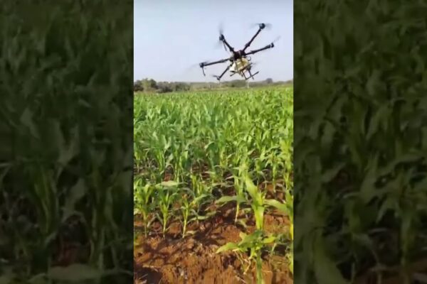 Drones  transform farming! Precision spraying, detailed crop analysis, & sustainable practices promise higher yields & reduced resource use.  Click to soar into the future of agriculture!