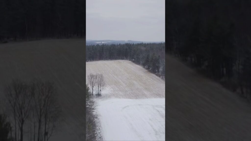 Holystone Drones:  Beginner-friendly aerial adventures await!  Easy-to-fly, affordable, & impressive 4K camera.  Click to learn more!