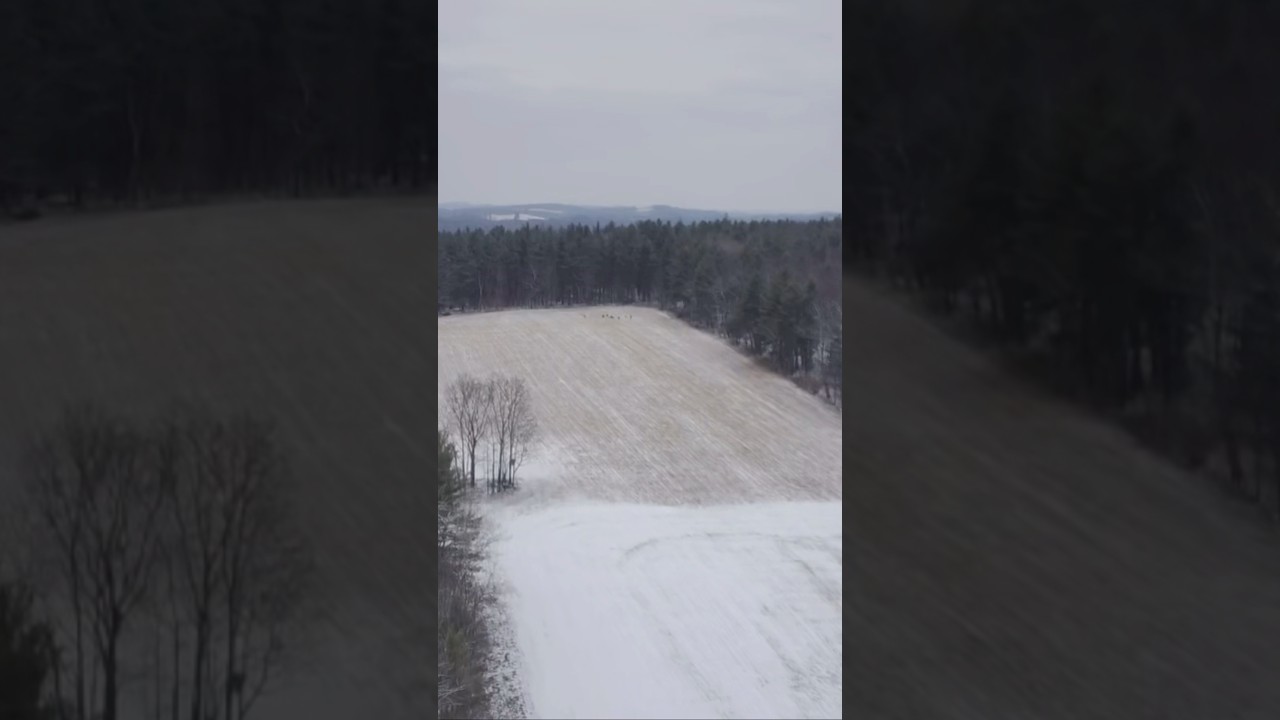 Holystone Drones:  Beginner-friendly aerial adventures await!  Easy-to-fly, affordable, & impressive 4K camera.  Click to learn more!