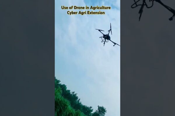 Revolutionize farming with drone technology!  Precision agriculture for smarter crop monitoring, resource use & bigger yields. Click to learn more!