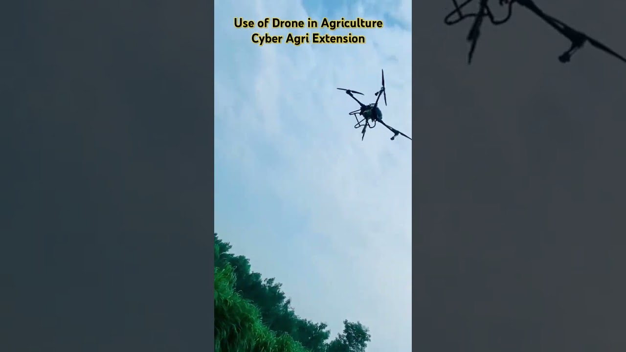 Revolutionize farming with drone technology!  Precision agriculture for smarter crop monitoring, resource use & bigger yields. Click to learn more!