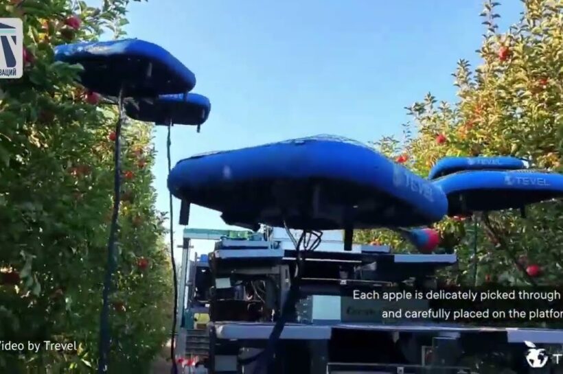AI-powered robots are revolutionizing apple harvesting in Chile!  Witness the future of farming with Unifrutti & Tevel's groundbreaking tech.  Learn more!