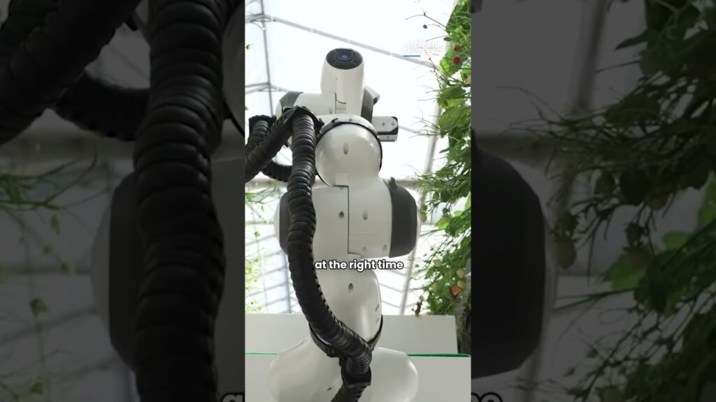 Witness the future of farming!   AI-powered robots harvest strawberries with precision, solving labor shortages.  See incredible videos now!