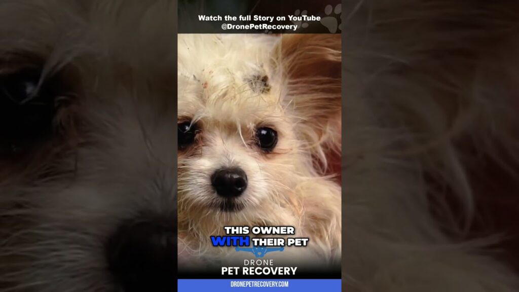 Drone rescues:   Rapid water rescues, missing person searches, and pet recovery.  Transforming emergency response with real-time aerial perspectives.  Learn more now!